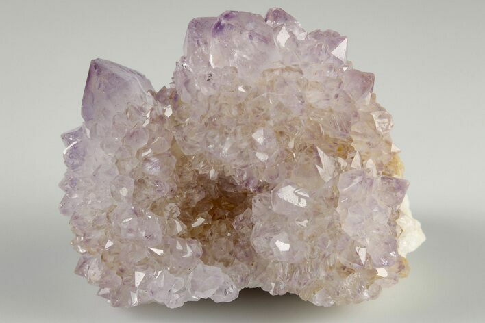 Cactus Quartz (Amethyst) Crystal Cluster- South Africa #187185